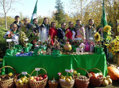 Юная анапчанка стала одной из лучших на Всероссийском экологическом конкурсе