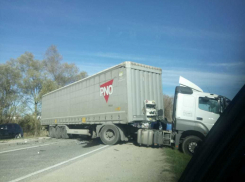 Под Раевкой фура в хлам раздавила легковушку: два трупа 