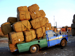 Гость из Еревана наворовал в Анапе, Сочи и Новороссийске целый грузовик вещей