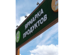 Промышленный рынок: цены как на Фермерском, но со своими нюансами