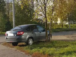 В Анапе будут действовать штрафы за парковку автомобилей на газонах и клумбах