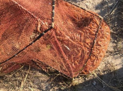 Анапчанина осудили на два года за незаконный вылов креветки и камбалы