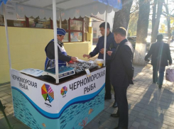 В Анапе впервые открыли специальные торговые точки для продажи хамсы