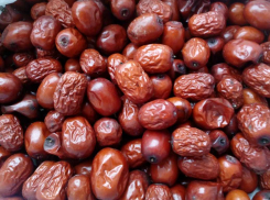 Маринованный зизифус «под оливки» и смузи из хурмы. Рецепты от Ирины Власюк