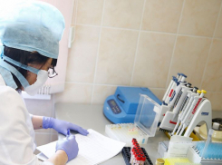 Ситуация тревожная. На Кубани число людей с COVID-19 за три дня выросло в 1,5 раза 