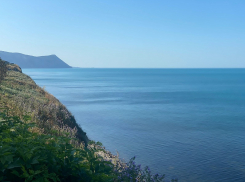 В День кинолога в Анапе ожидается безоблачная погода