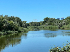 В День основания морской авиации России в Анапе будет солнечно