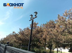 «Озеленительная» тяжба продолжается – с мэрии Анапы взыскивают 18 миллионов рублей