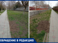 Анапчанка пожаловалась, что возле ЛОК «Витязь» убрали все скамейки и урны