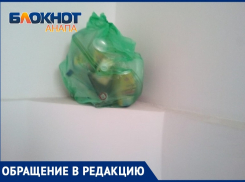 «Какой-то «свинтус» в «Горгиппии» повадился выбрасывать мусор в подъезде» – до контейнеров не доносит