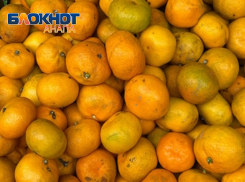 Анапчанам на заметку: российские ученые создали три новых сорта мандаринов