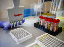 В крае число заразившихся COVID-19 перевалило за 2000. В Анапе плюс один случай