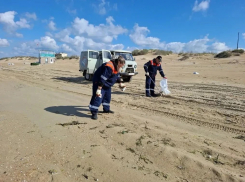 В Анапе продолжают очистку побережья от мазута