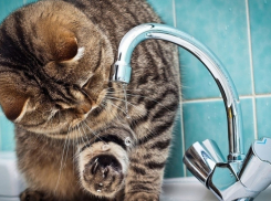 Сколько по времени допустимо отключение коммунальных услуг в Анапе?