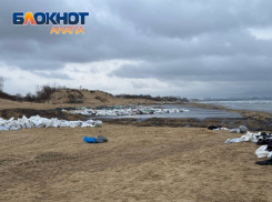 «Прости нас, Черное море» – волонтеры написали песню про трагедию с мазутом 