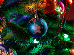 Стали известны адреса ёлочных базаров в Анапе