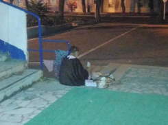 Социальная служба в Анапе выяснила: «потеряшки» рядом с книжным магазином нет