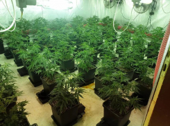 За организацию нарколаборатории в Анапе пермяк получит срок 