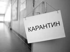 Рядом с Анапой в Темрюкском районе и в Новороссийске ввели карантинный режим