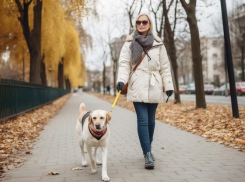 Осенние опасности для ваших пушистых друзей: как заботиться о собаках в анапские холода