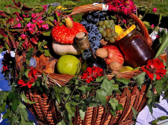 Путин потребовал добавить в потребительскую корзину больше рыбы и овощей