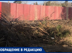 Когда уберут спиленные ветки на Пионерском проспекте в Анапе: есть ответ