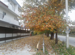 Фотопрогулка с порталом «Блокнот Анапа»: прекрасное осеннее Витязево