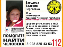 Пропавшая Валерия Заводова может находиться в Анапе