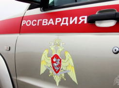 К проверкам на постах в Анапе подключили Росгвардию