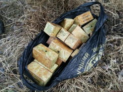 Схрон взрывчатки под Анапой обнаружили сотрудники ФСБ