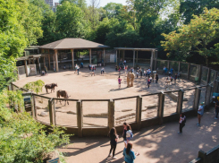 Деятельность зоопарка в Анапе приостановлена по решению суда