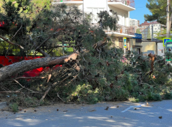 Смертельное падение, ДТП и разборки водителей: что случилось в Анапе