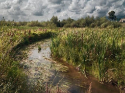 У анапчанина отберут участок, по которому протекает река