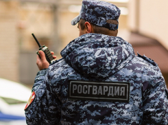 У анапчан могут проверить пропуск на подлинность с помощью цифровой платформы