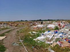 На свалке в Голубицкой, недалеко от Анапы, обнаружили тело младенца