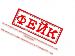 ВНИМАНИЕ: ФЕЙК! Что можно второй раз подать заявление на выплату для школьников