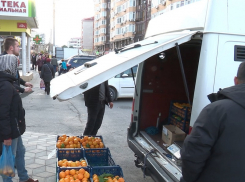 Стало известно, где в Анапе незаконно продают мандарины