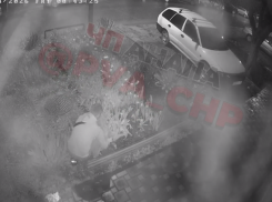 «Сезон обдирания открыт»: в Анапе неизвестные сорвали с чужой клумбы около 30 цветов