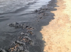 Обнаруженное в порту Новороссийска нефтяное пятно может дойти до Анапы