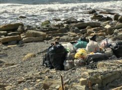 Куда делся мусор, собранный на субботнике «Наше море» в Анапе? 