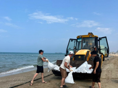 Стали известны результаты мониторинга пляжей Анапы 12 июня 