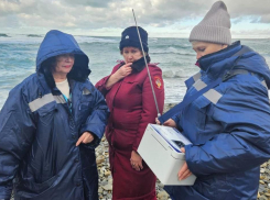 9 из 24 проб морской воды не соответствует нормам: Роспотребнадзор ведет контроль внешней среды