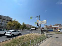 В День выгула черепахи в Анапу вернётся сильная жара