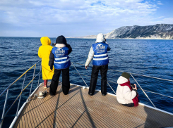 В Анапе откроют стационар для экстренной помощи дельфинам