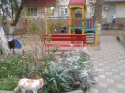 На улицах Некрасова и Толстого в Анапе необходимо благоустройство детских площадок