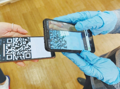 В Анапе, как и по всему краю, могут ввести QR-коды на посещение ТЦ, кафе и ресторанов