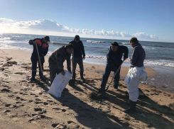 В Темрюкском районе ликвидируют точечные выбросы нефтепродуктов