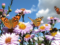 В субботу, 6 июля, в Анапе до +26 градусов