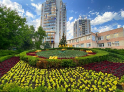 Цветочные часы в Анапе украсят южноафриканские цветы