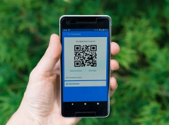 В Анапе в кафе без QR-кода не попадешь до 21 ноября